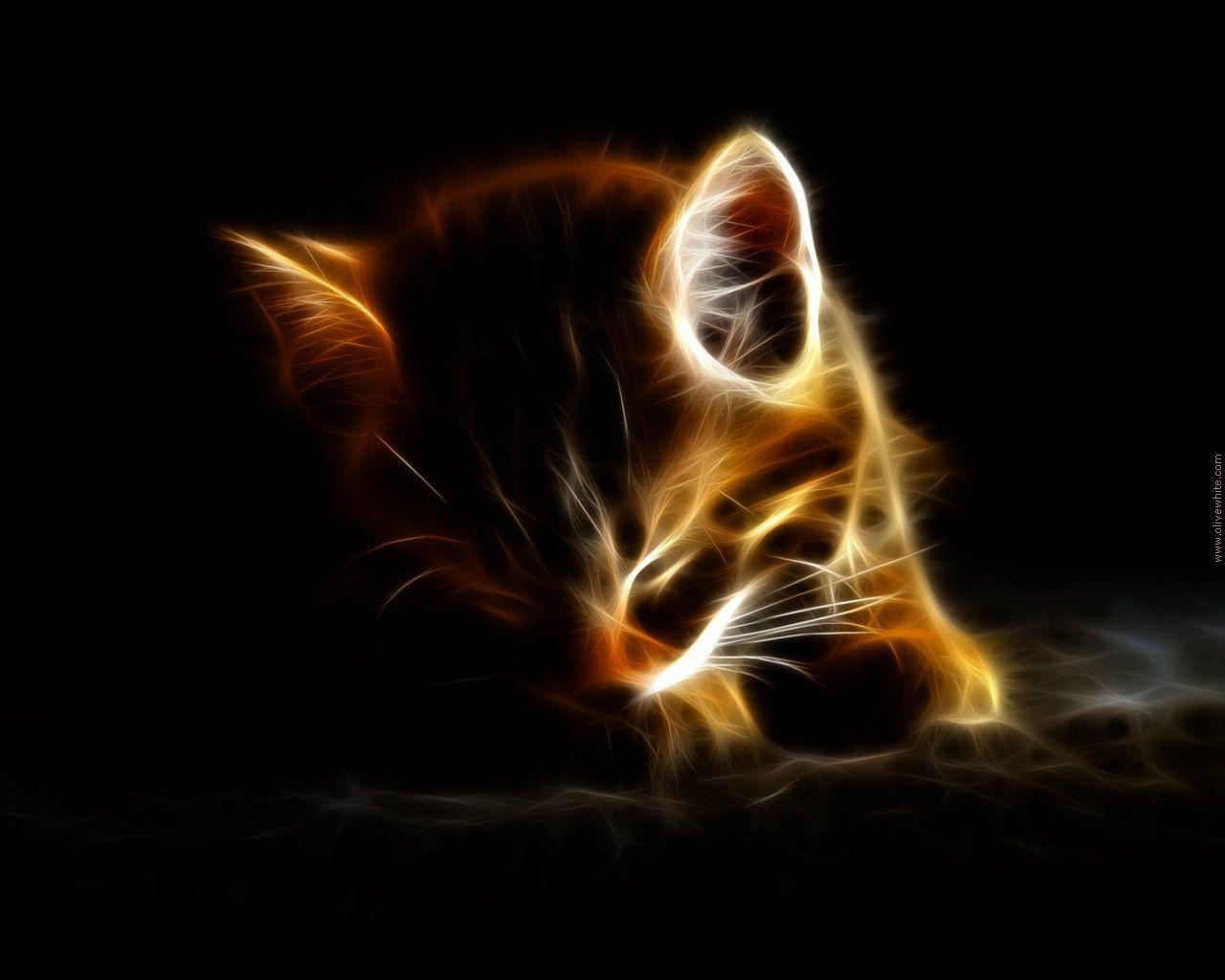 Cat of light Wallpaper 2286. WALLISTY