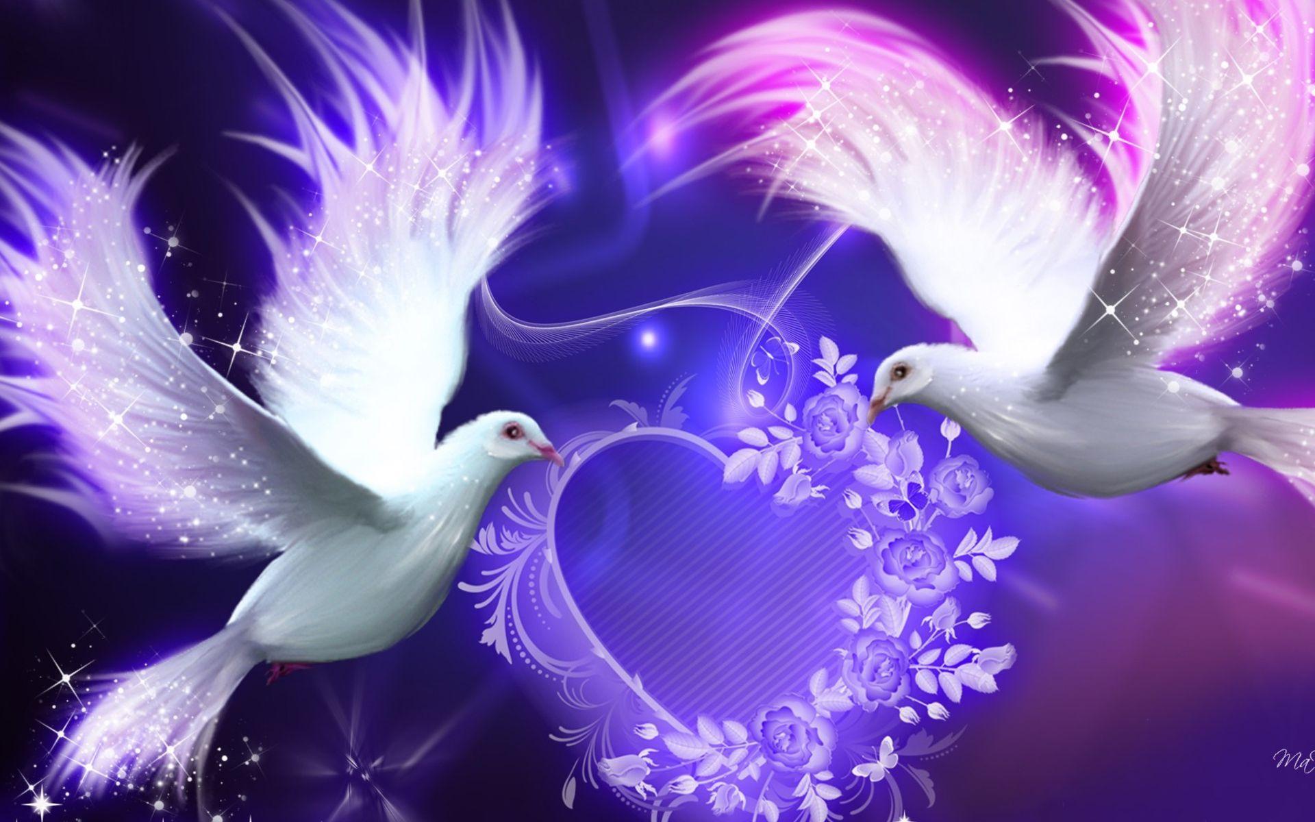 lover Purple Doves -Birds -# Wallpaper 1920x1200