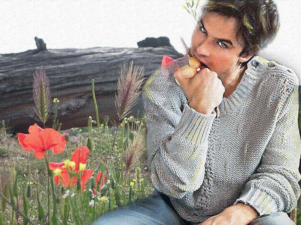 Ian Somerhalder Somerhalder Wallpaper