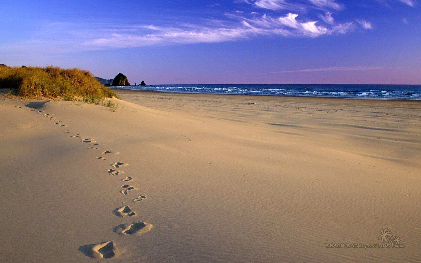Foot Print ON Beach sand Wallpaper, HQ Photo & Desktop