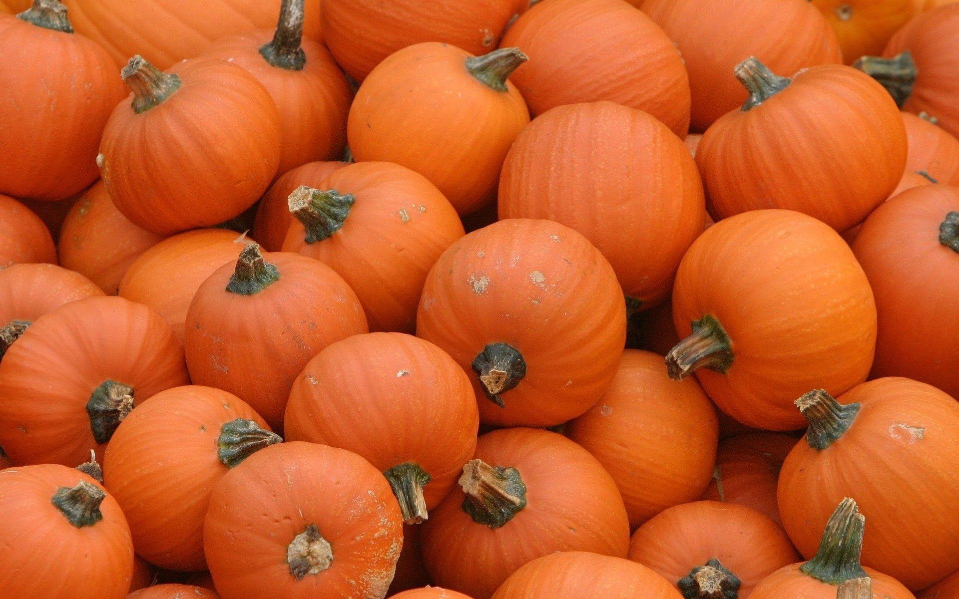 Pumpkin Wallpaper for Desktop, wallpaper, Pumpkin Wallpaper