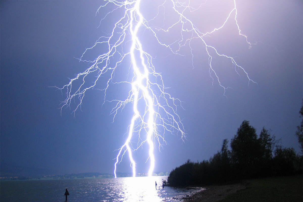 image For > Lightning Strike Tree