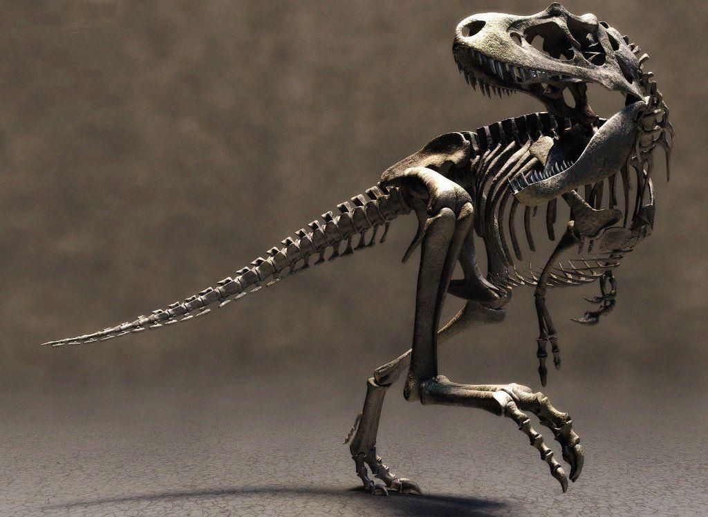 Gallery For > Tyrannosaurus Rex Wallpaper Desktop