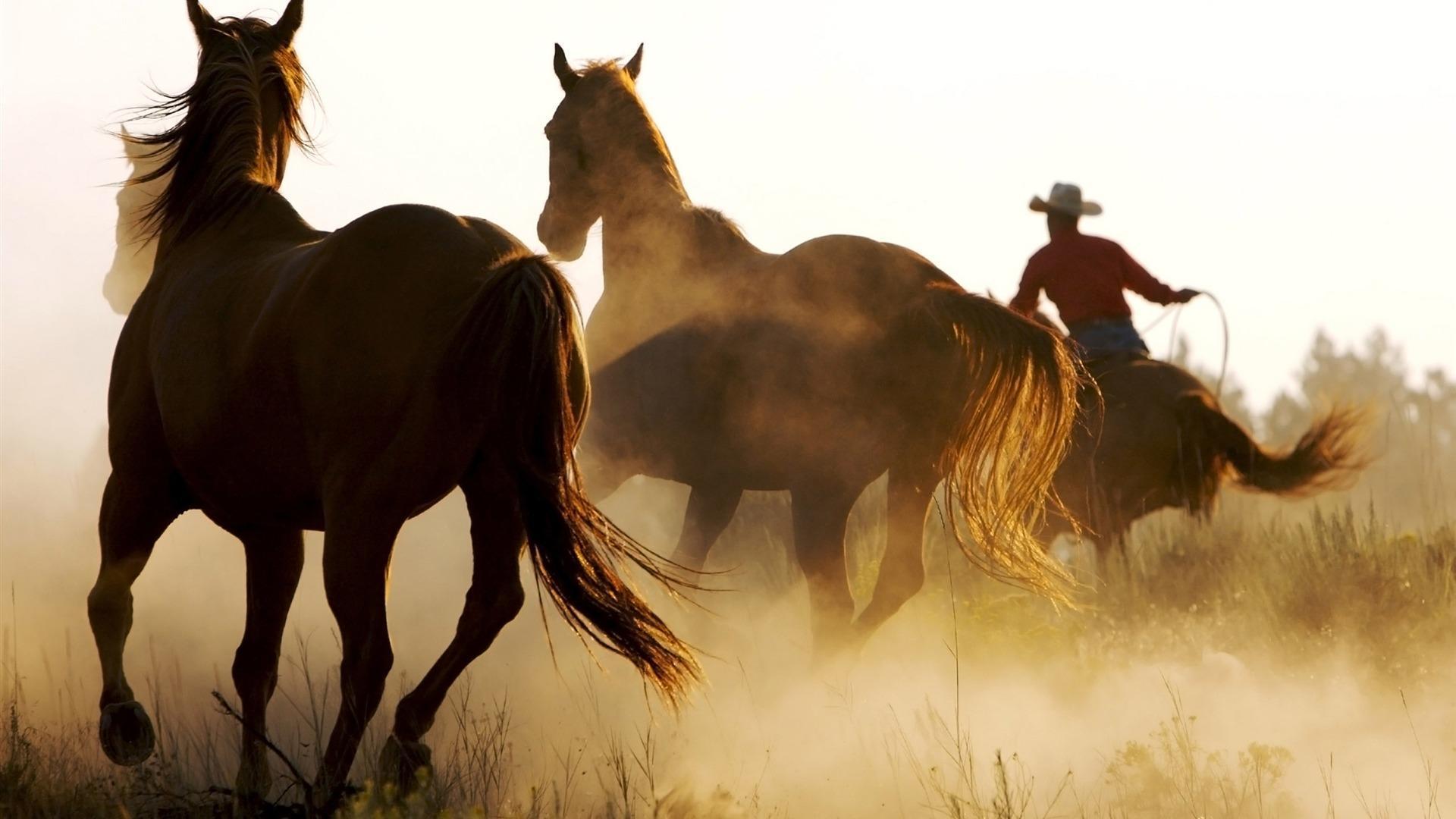 Old Western Cowboys And Horses