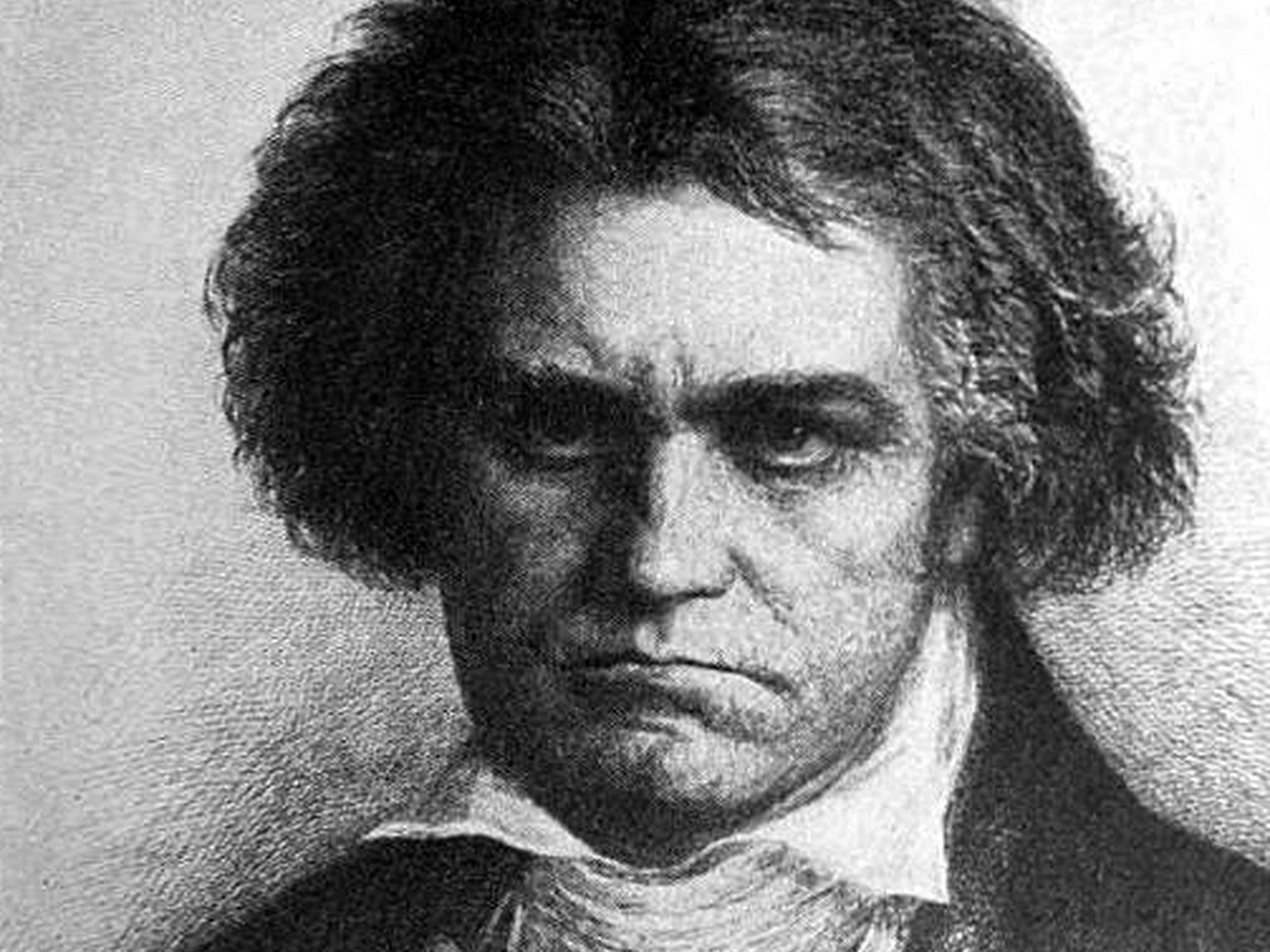 Ludwig van Beethoven Image