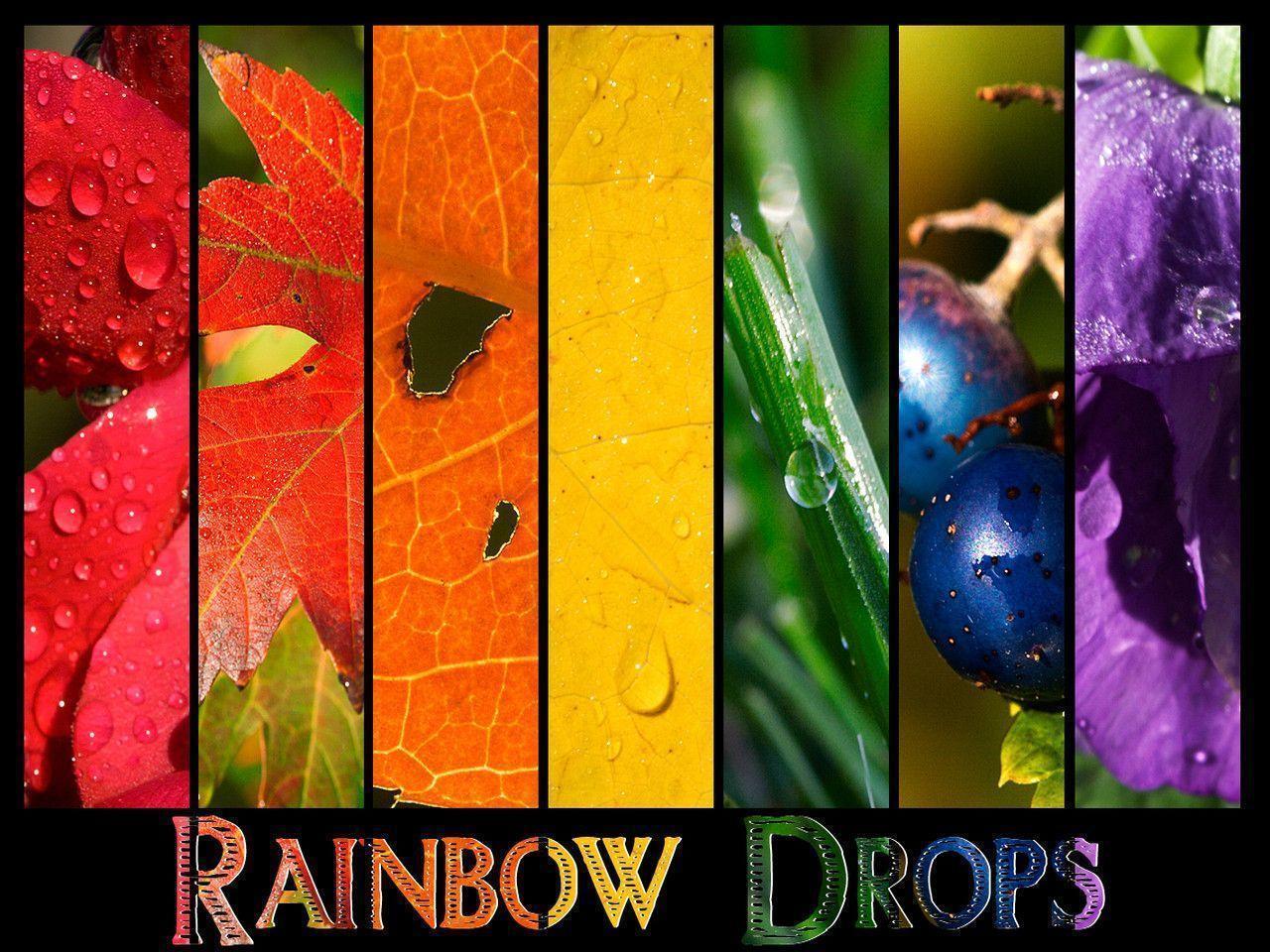 RainDrops Colors Wallpaper