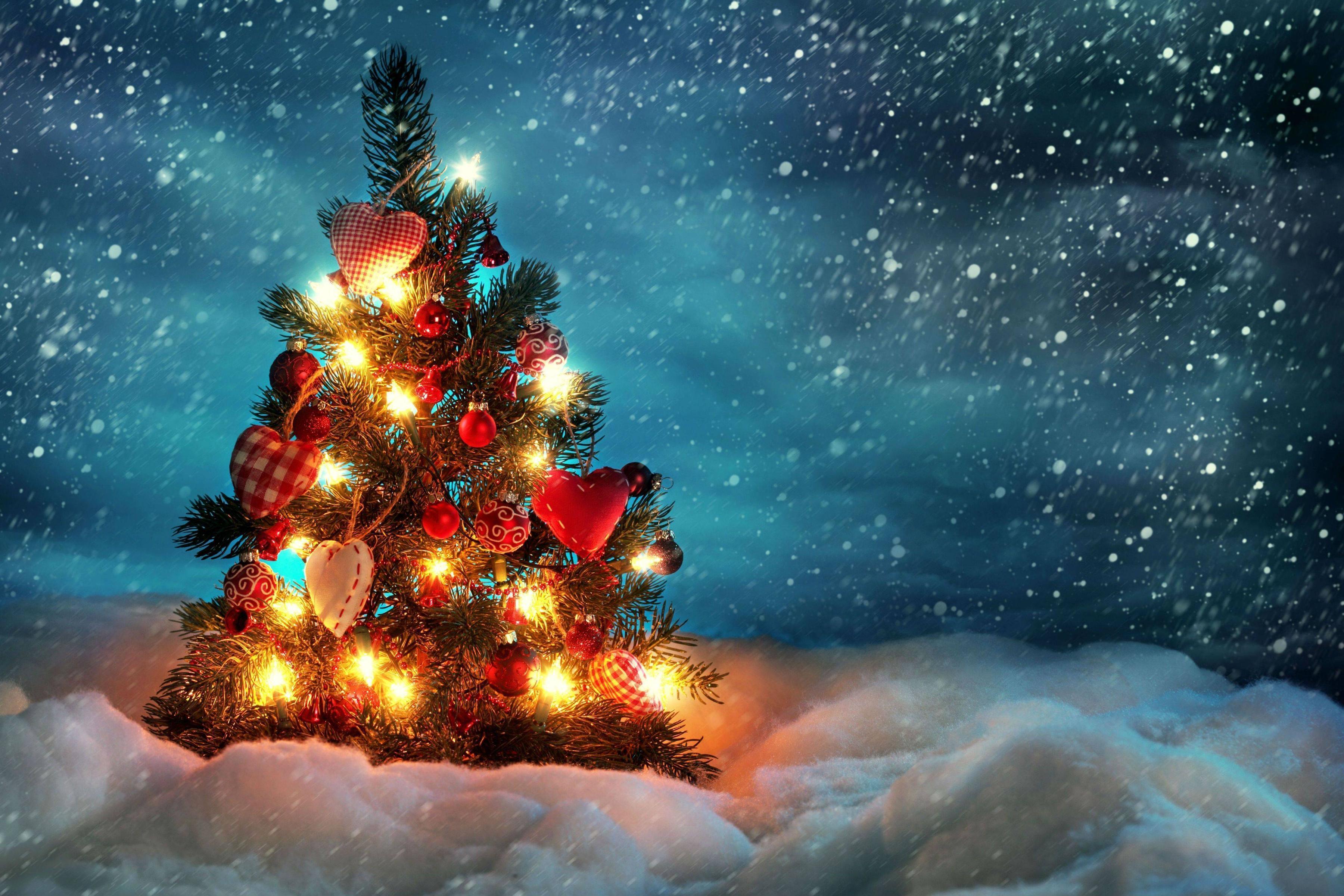 Holiday Christmas Tree Wallpaper Backgrounds taken from Christmas