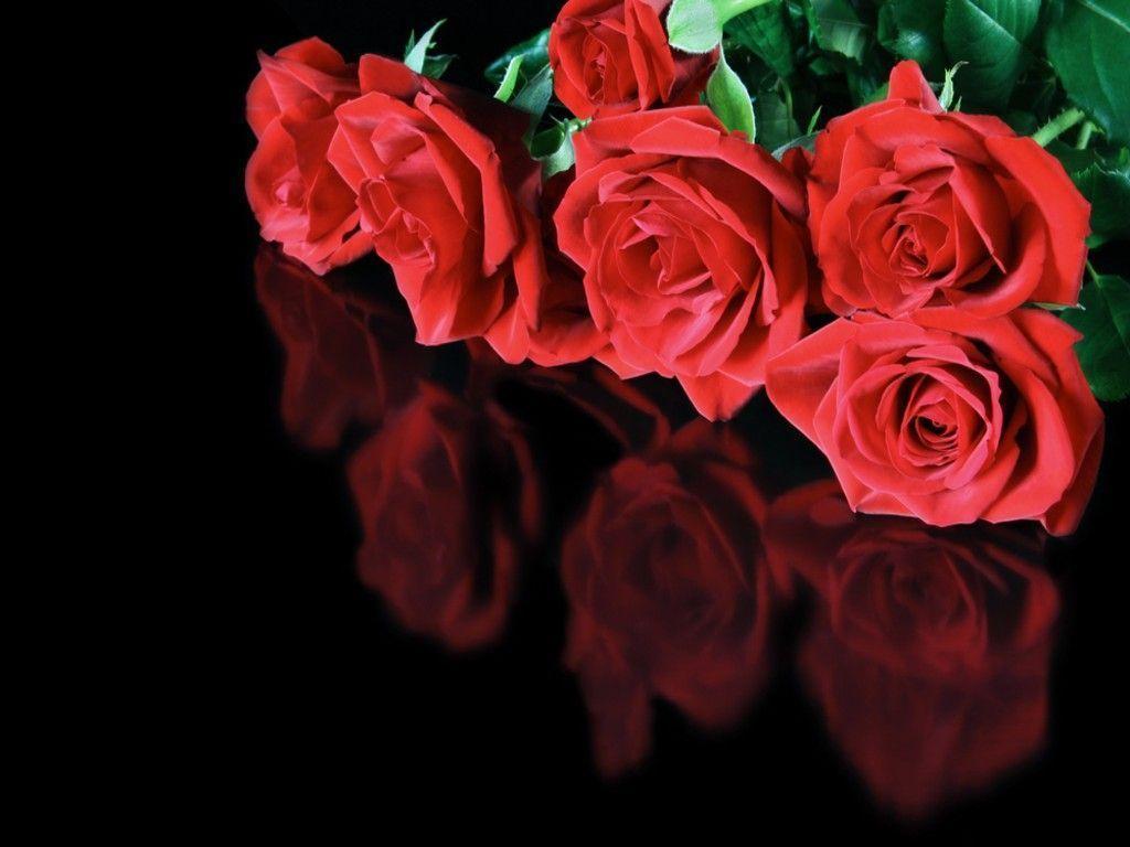 Red roses reflected on a black surface