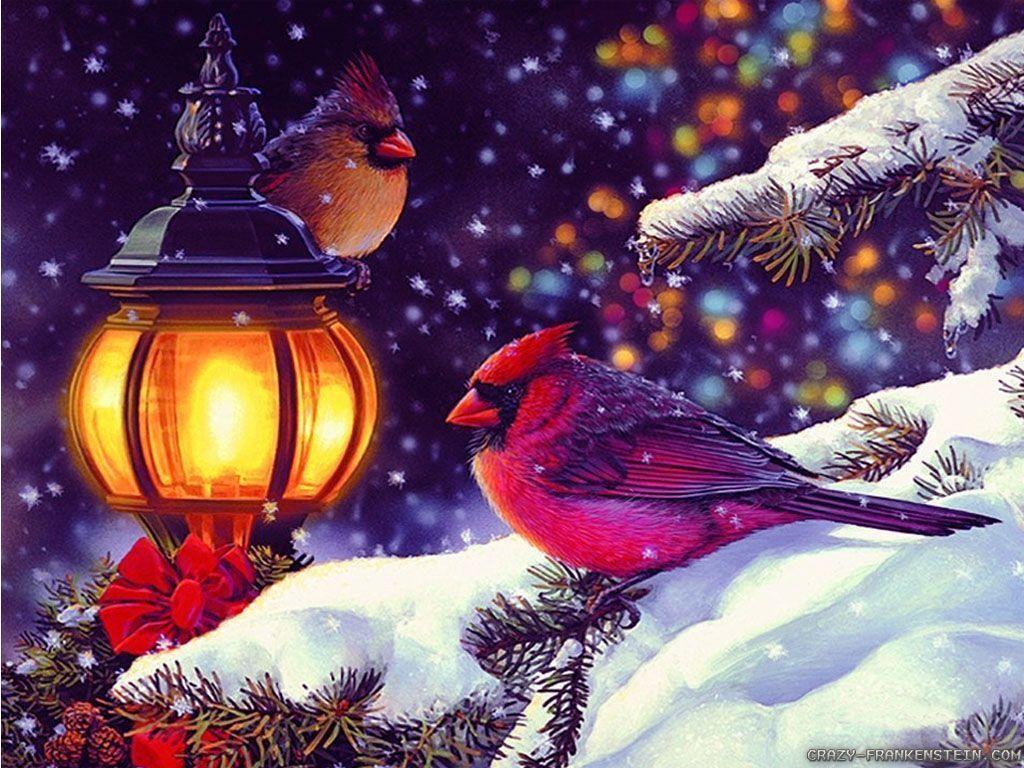 Bird Scene Winter Holidays Wallpaper 1024x768 Holiday HD