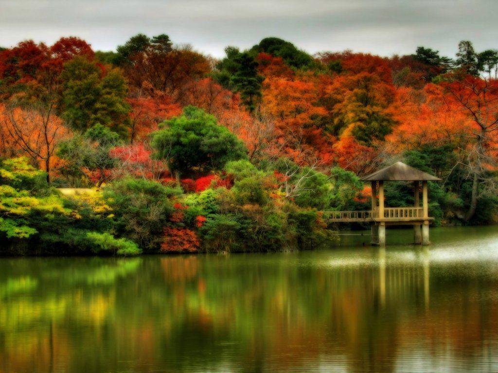 Beautiful Fall Scene (id: 96870)
