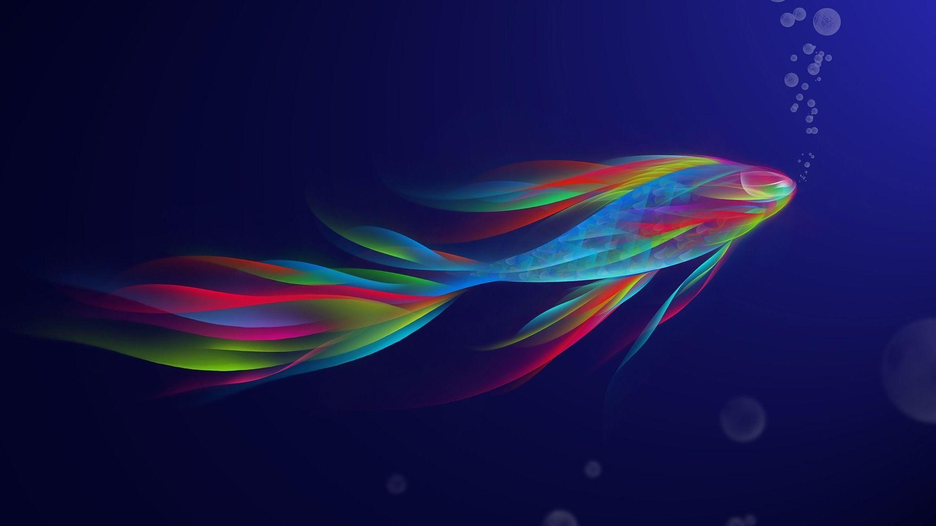 Colorful Betta Fish Creative Design Desktop Wallpaper