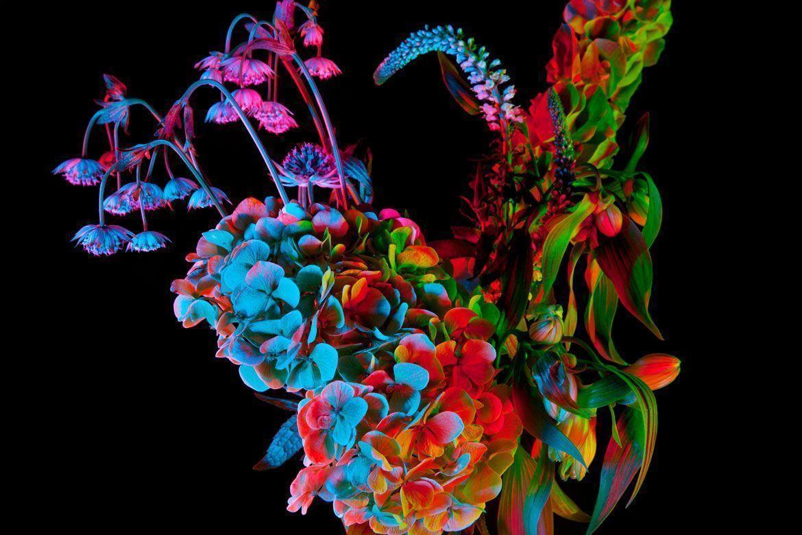 Graduate Directory 2015. Photography. Wallpaper* Magazine