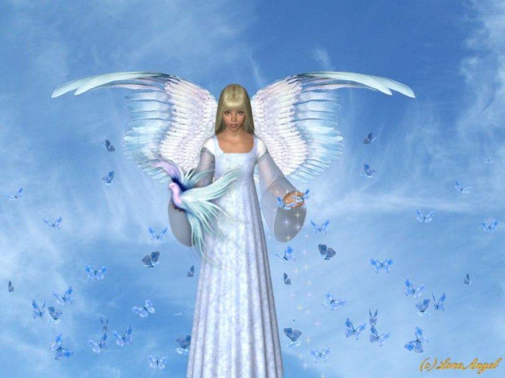 Angel Wallpaper Free Wallpaper Panda 1024x768PX Wallpaper Free