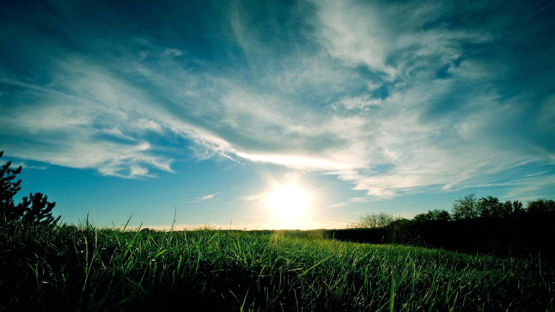 Free wallpaper background for android Wallpaper Is