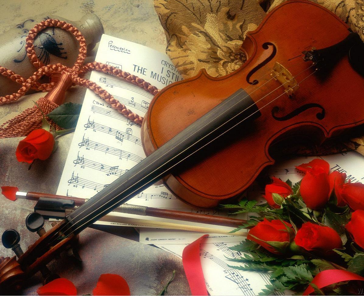 Violin Wallpaper and Picture Items