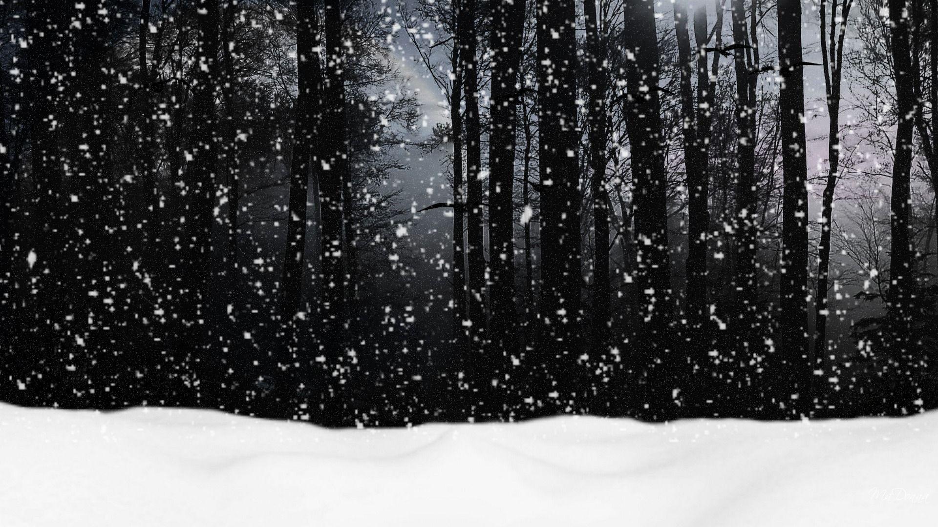 Snow Falling On Forest In Monochrome Wallpaper