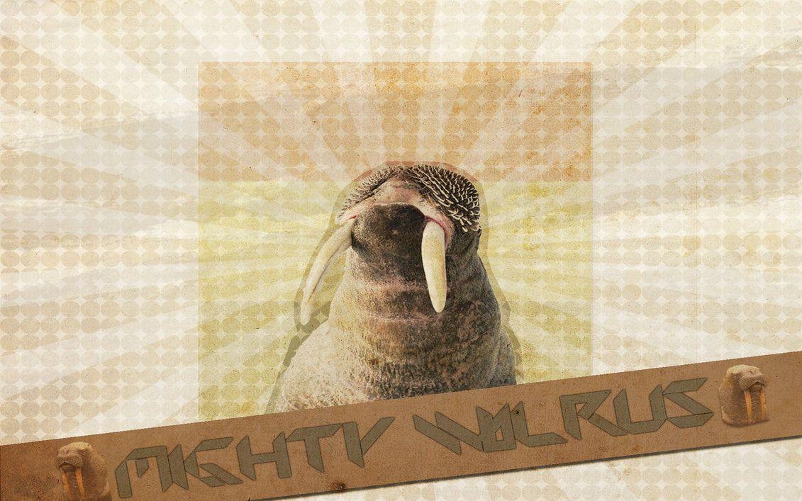 Mighty Walrus Wallpaper By Some Gibberish