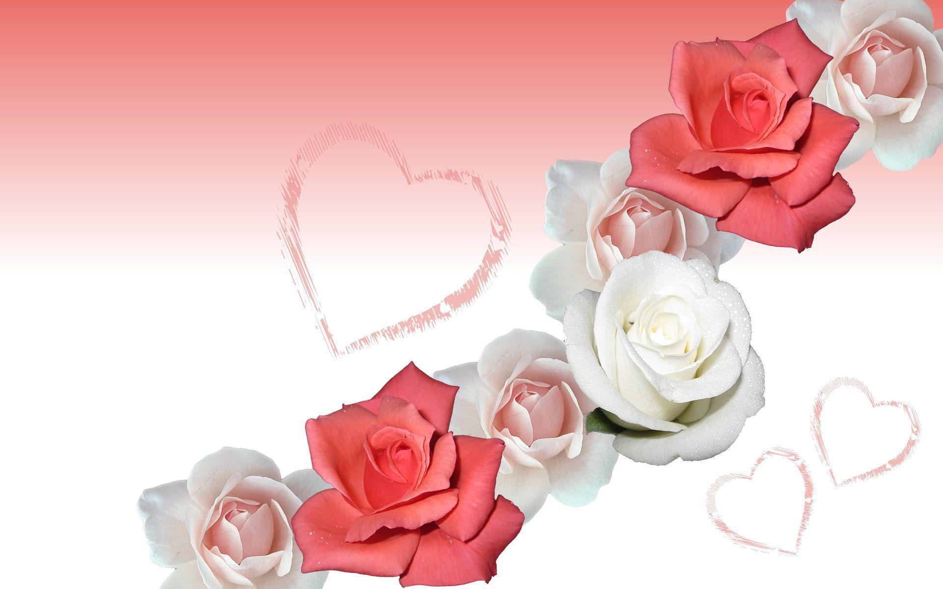 flowers bouquet roses wallpaper for desktop
