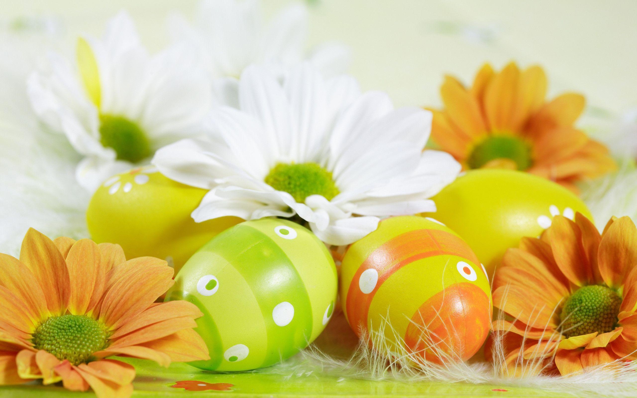 Happy Easter egg n flower wallpaperhotos