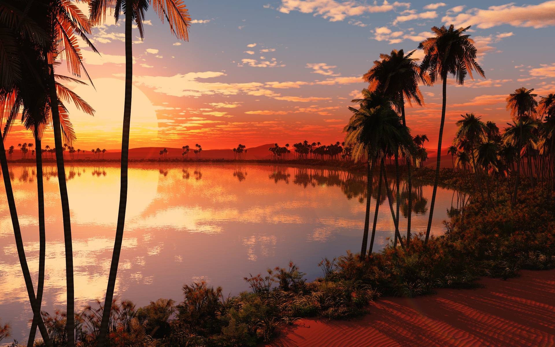 Wallpaper For > Tropical Sunset Wallpaper Widescreen