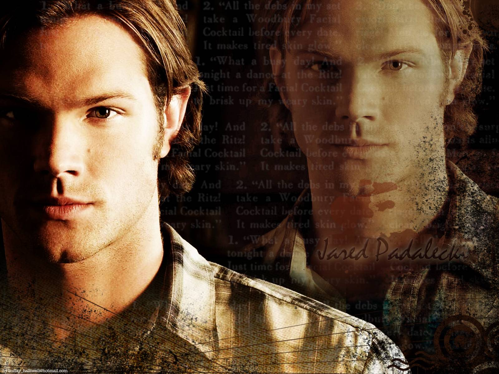 Jared Padalecki Padalecki Wallpaper
