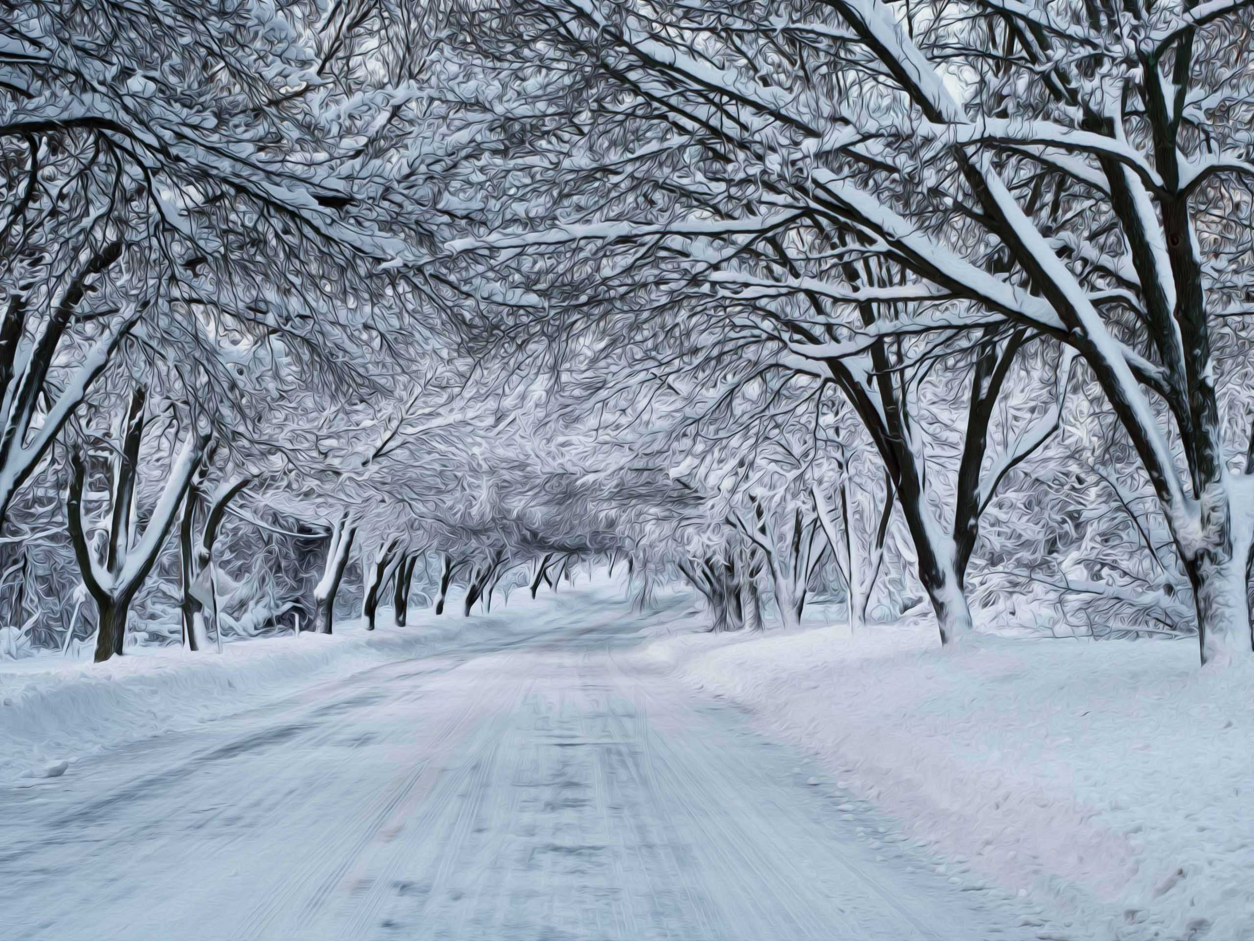 Winter Snow Scene Photography Wallpapers
