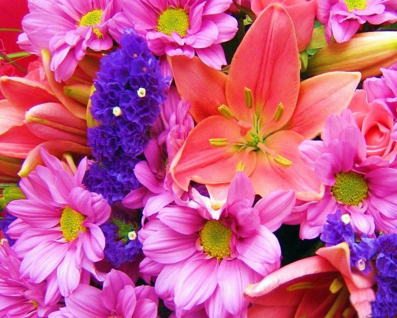 Download Bouquet Of Colorful Flowers Wallpaper. Full HD Wallpaper