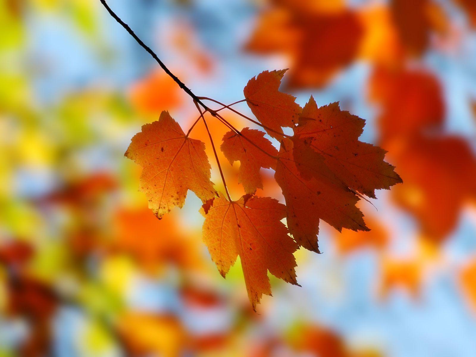 free fall background image
