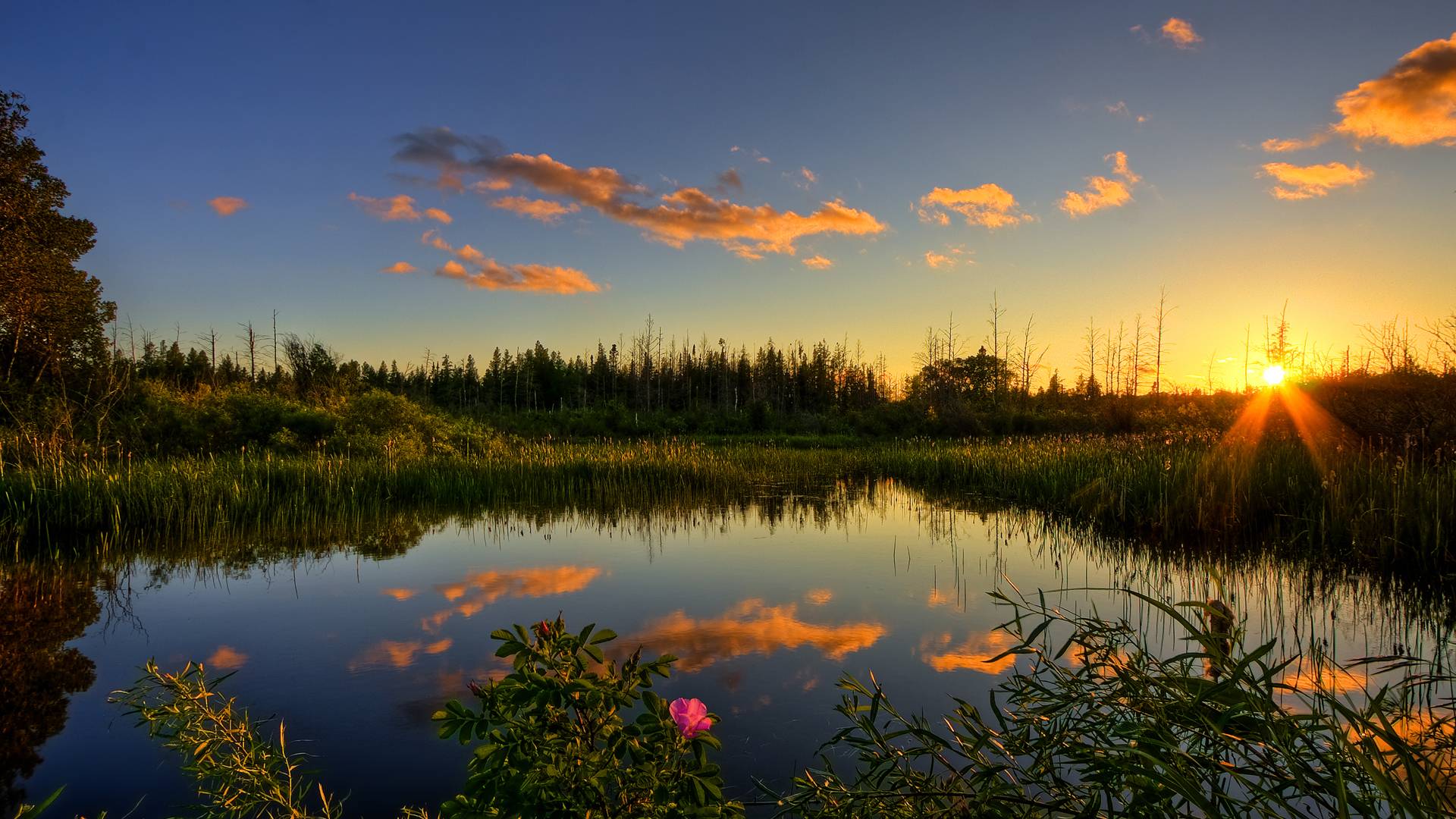 HD Wallpaper, Desktop Background 1080p