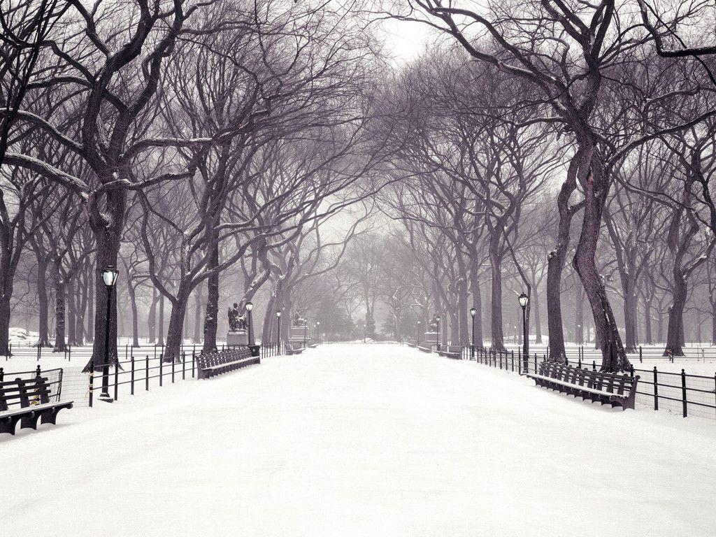 hecallsmeStatuary Walk, Central Park, New York City, New York
