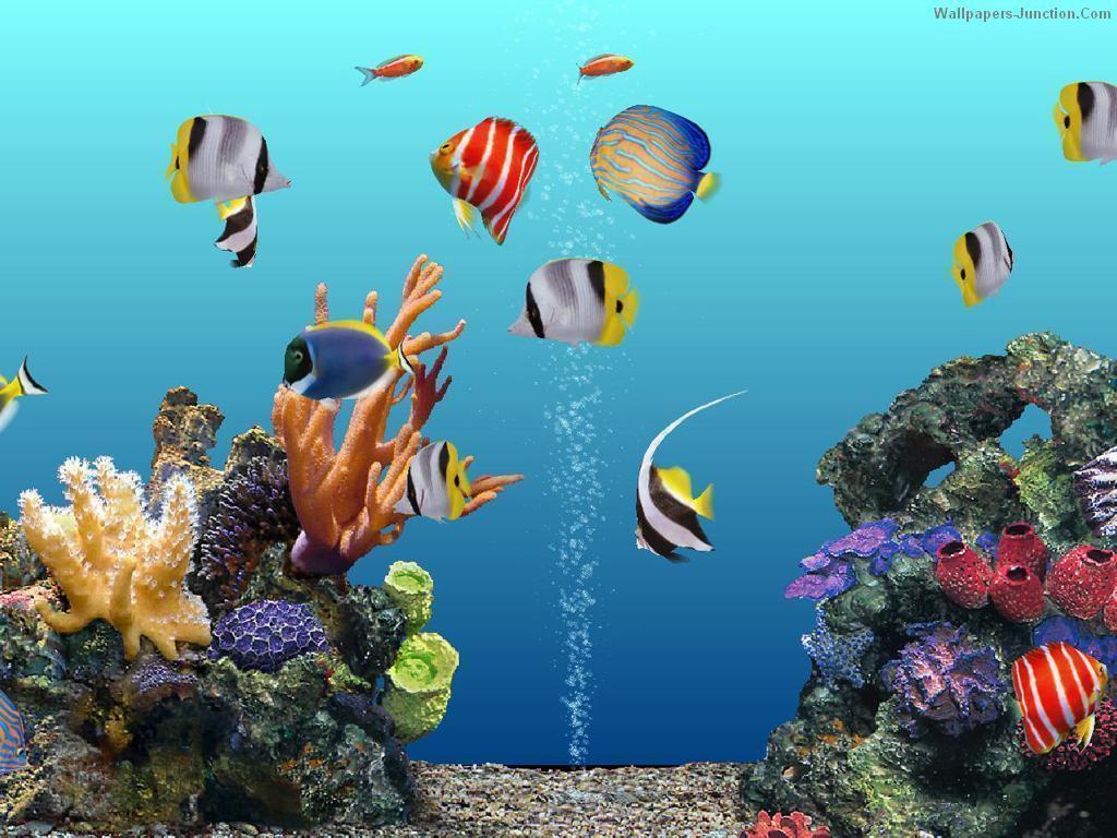 Hd Aquarium Wallpaper For Windows 7 Free Downl Wallpaper