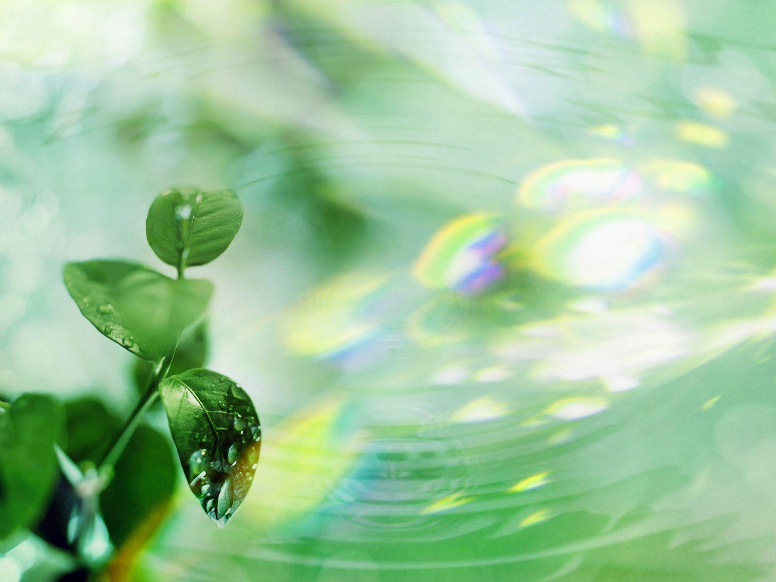 Desktop Wallpaper · Gallery · Windows 7 · Windows 7 desktop