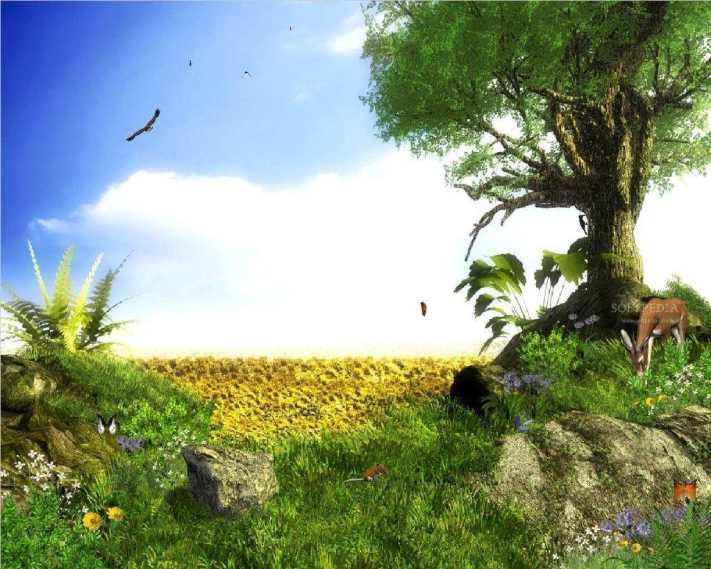 Wonderful 3D Nature Beautiful 3D Wallpaper, Natures Colors
