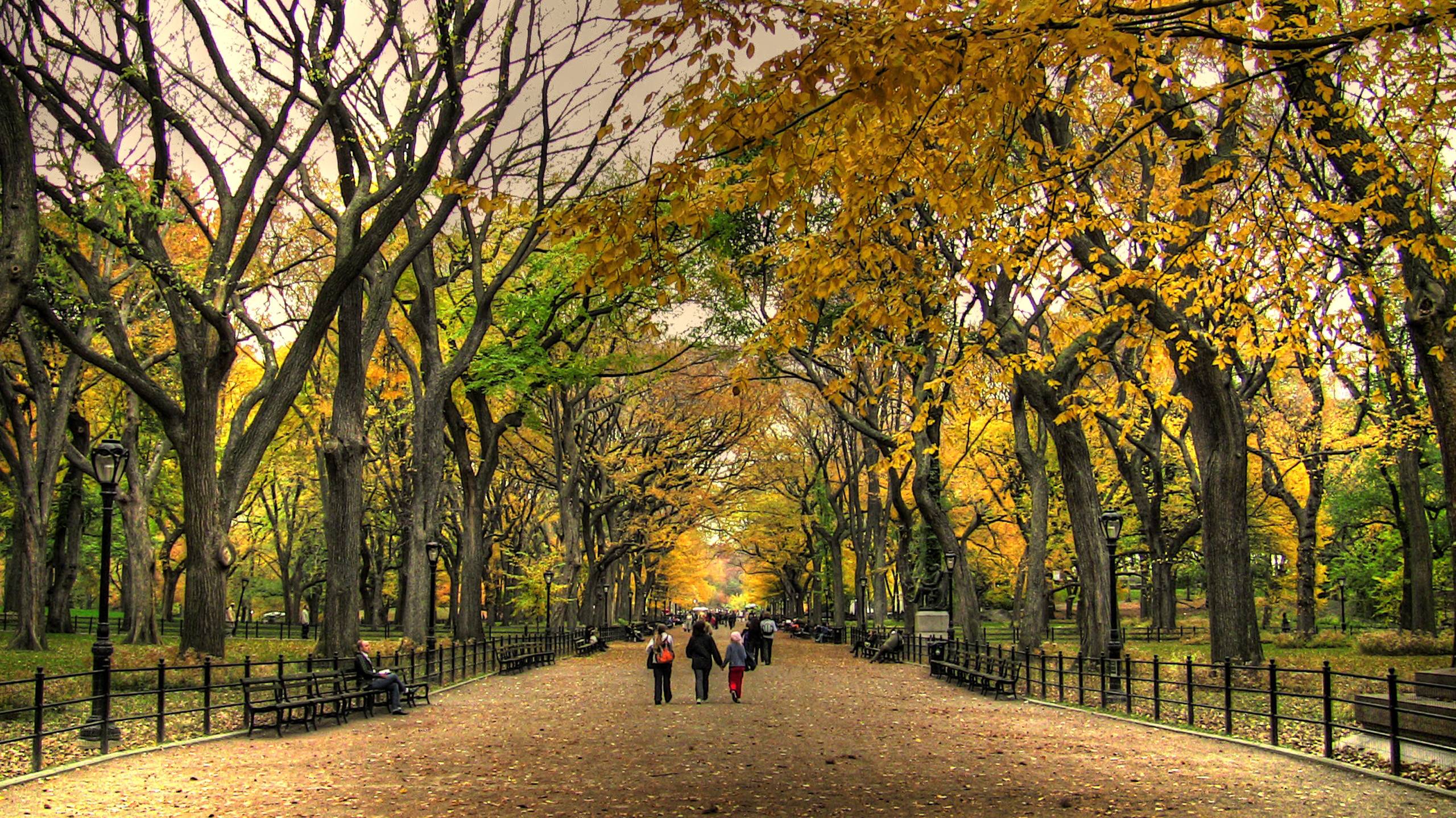 Central Park Autumn