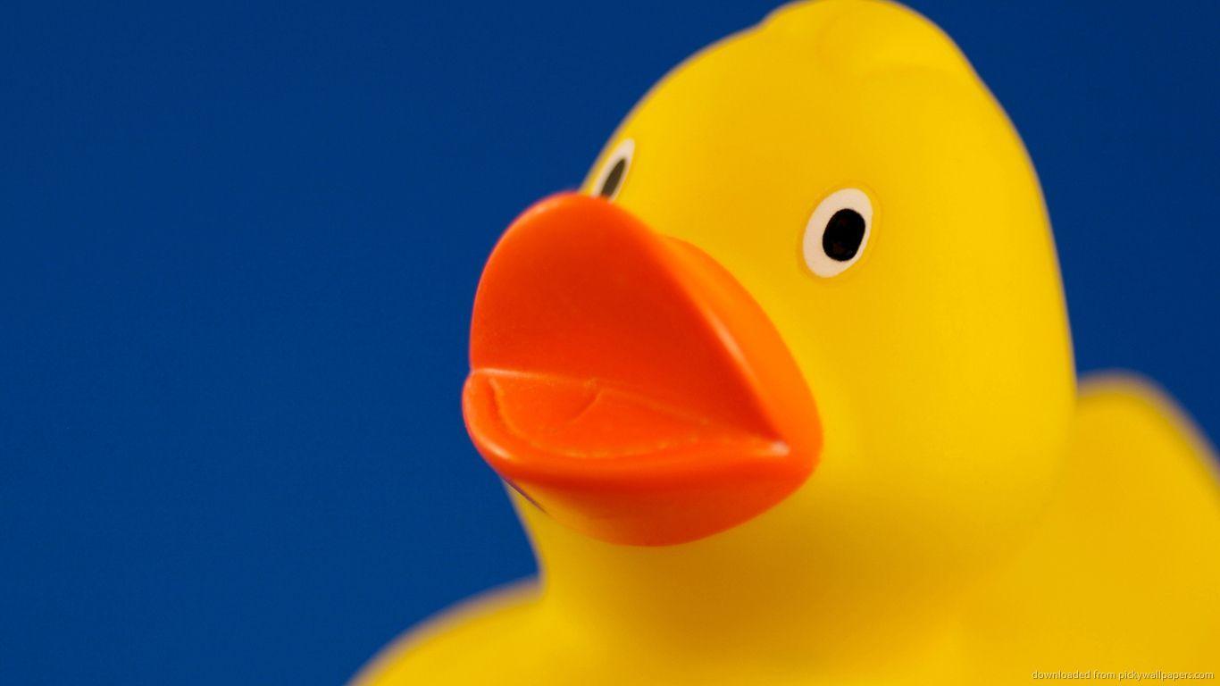 Rubber Duck Border Wallpaper and Background