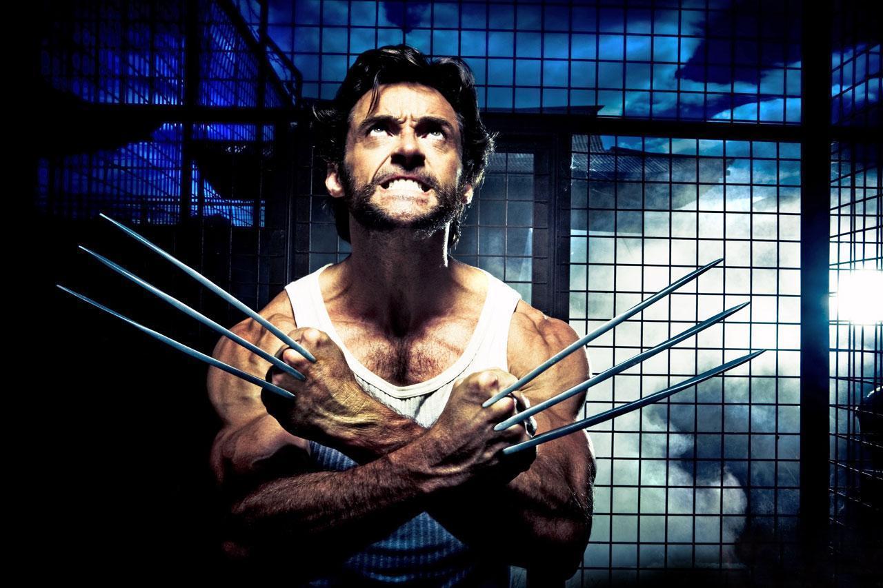 Wolverine wallpaper