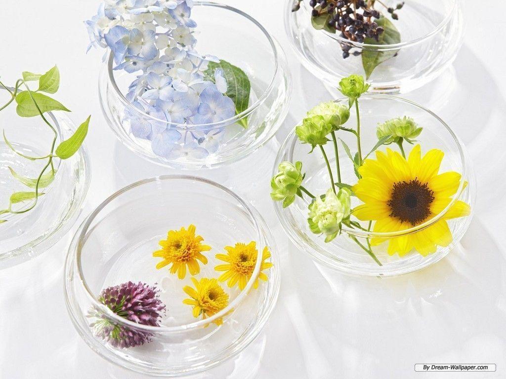 Free Wallpaper Flower wallpaper Flowers 1