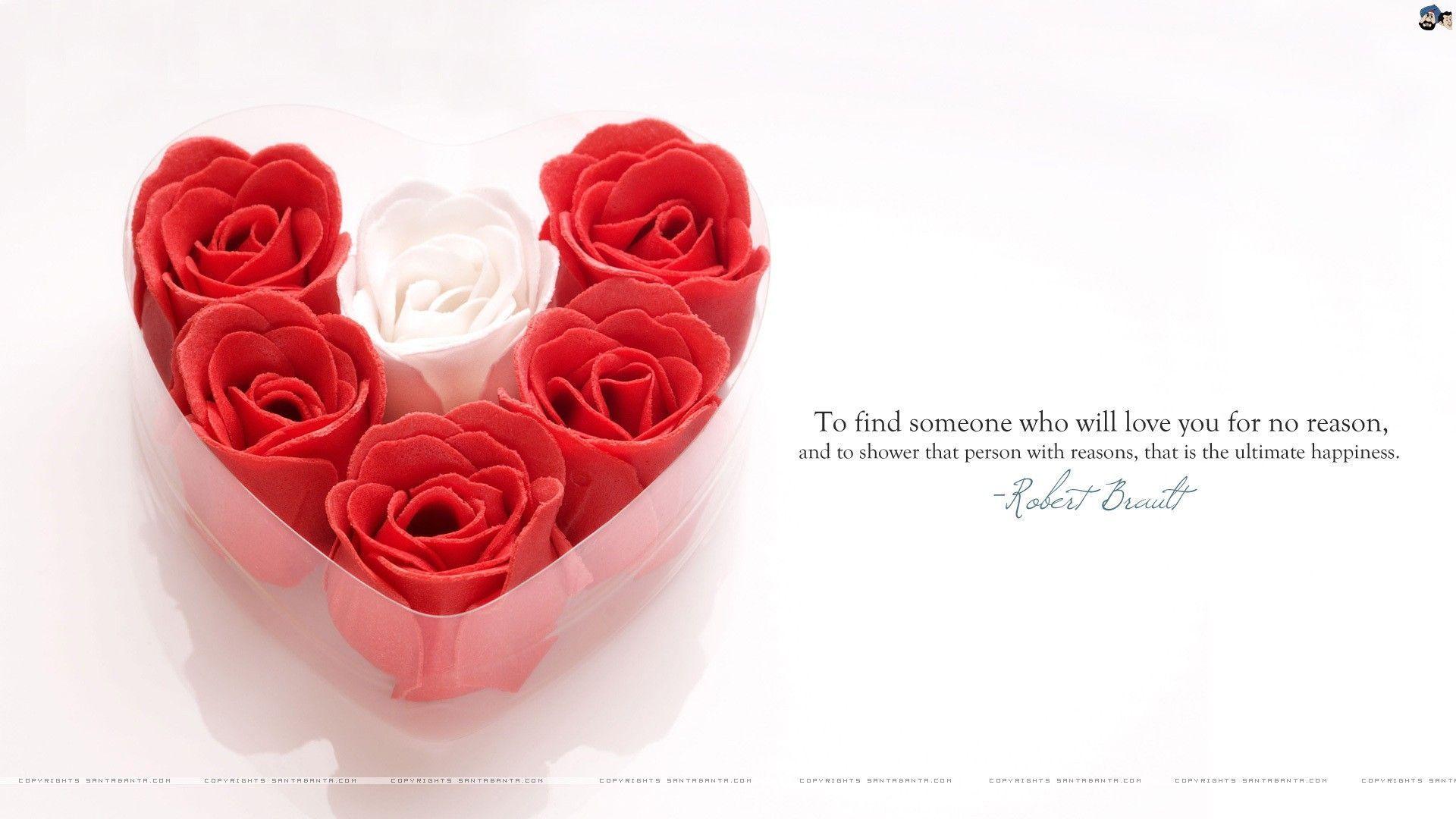 Wallpapers For Rose Wallpapers With Love Quotes