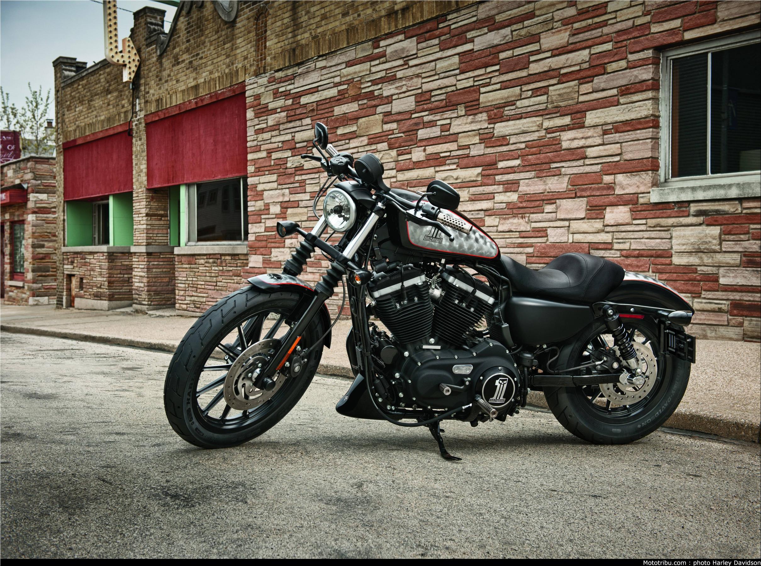 Wallpaper For > Harley Davidson Sportster 883 Wallpaper