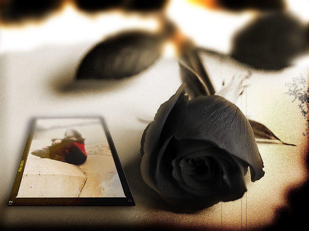 Wallpaper For > Black Rose Flower Background Wallpaper