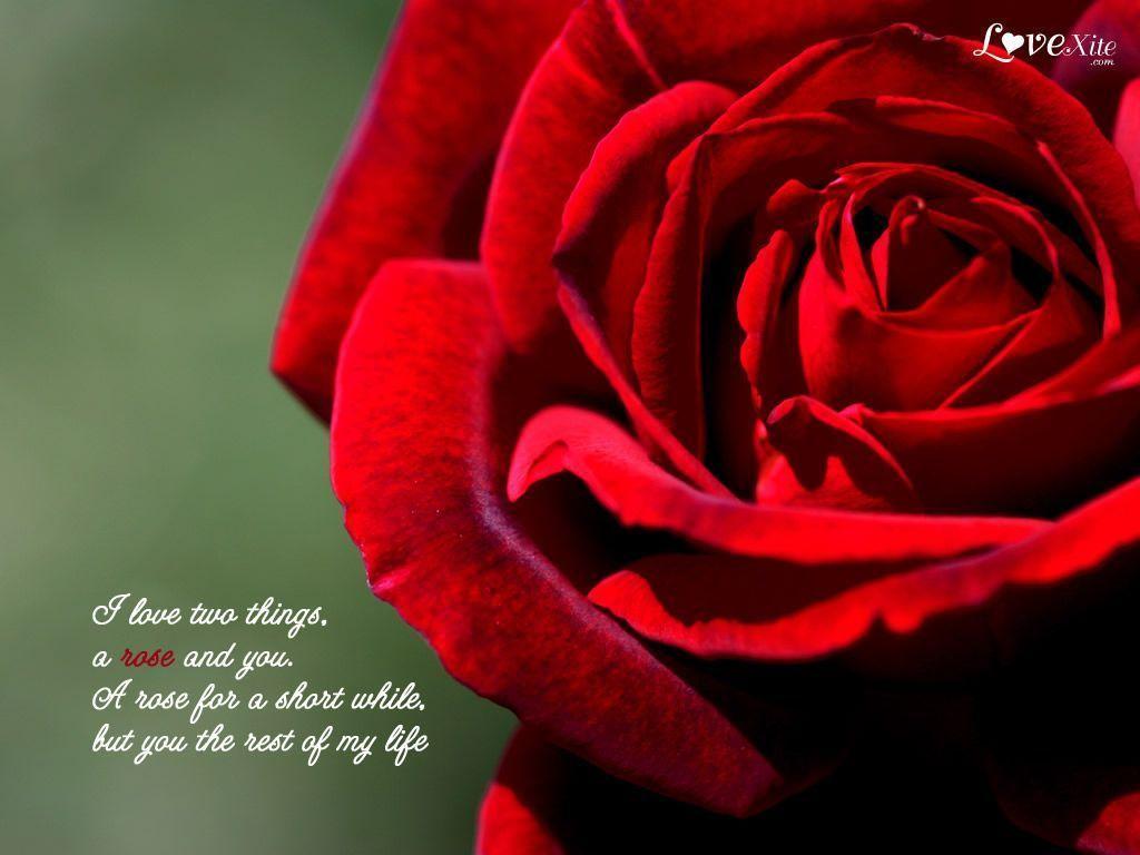 Romantic Love Wallpaper With Messages 1. Best Web For Quotes