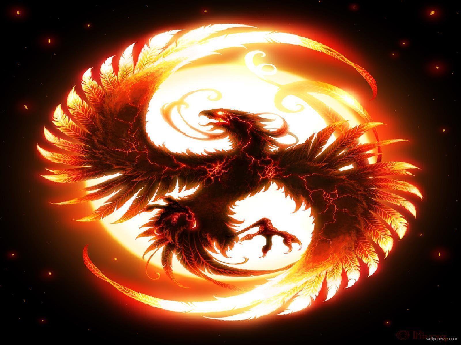 fire dragon wallpapers wallpaper cave fire dragon wallpapers wallpaper cave