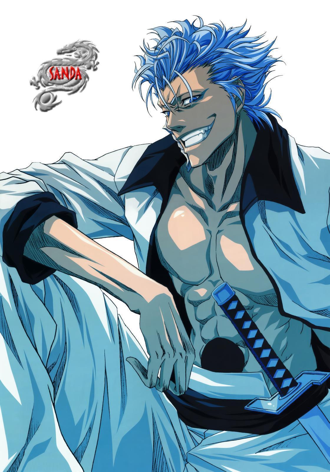 Grimmjow Jaggerjack Wallpapers - Wallpaper Cave