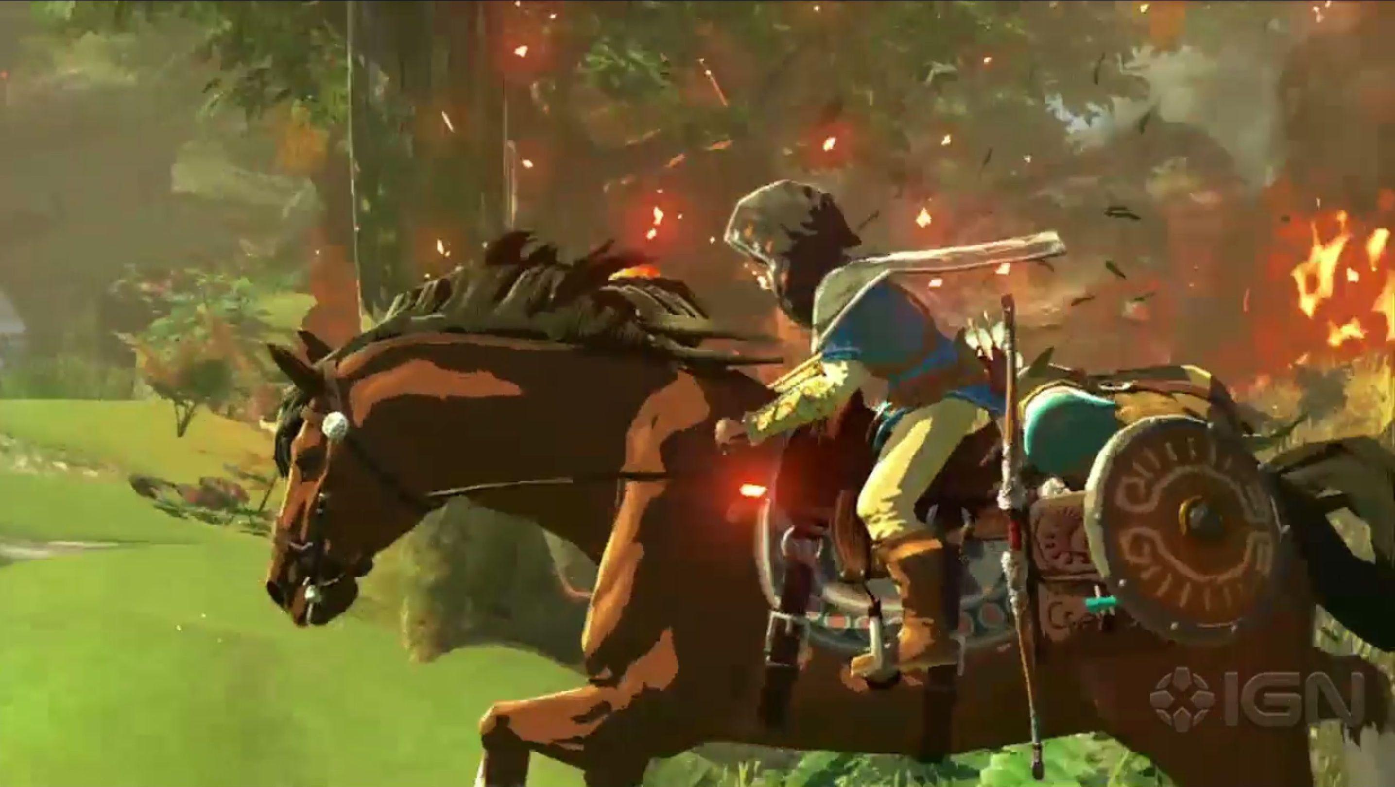 The Legend of Zelda for Wii U Wiki Guide