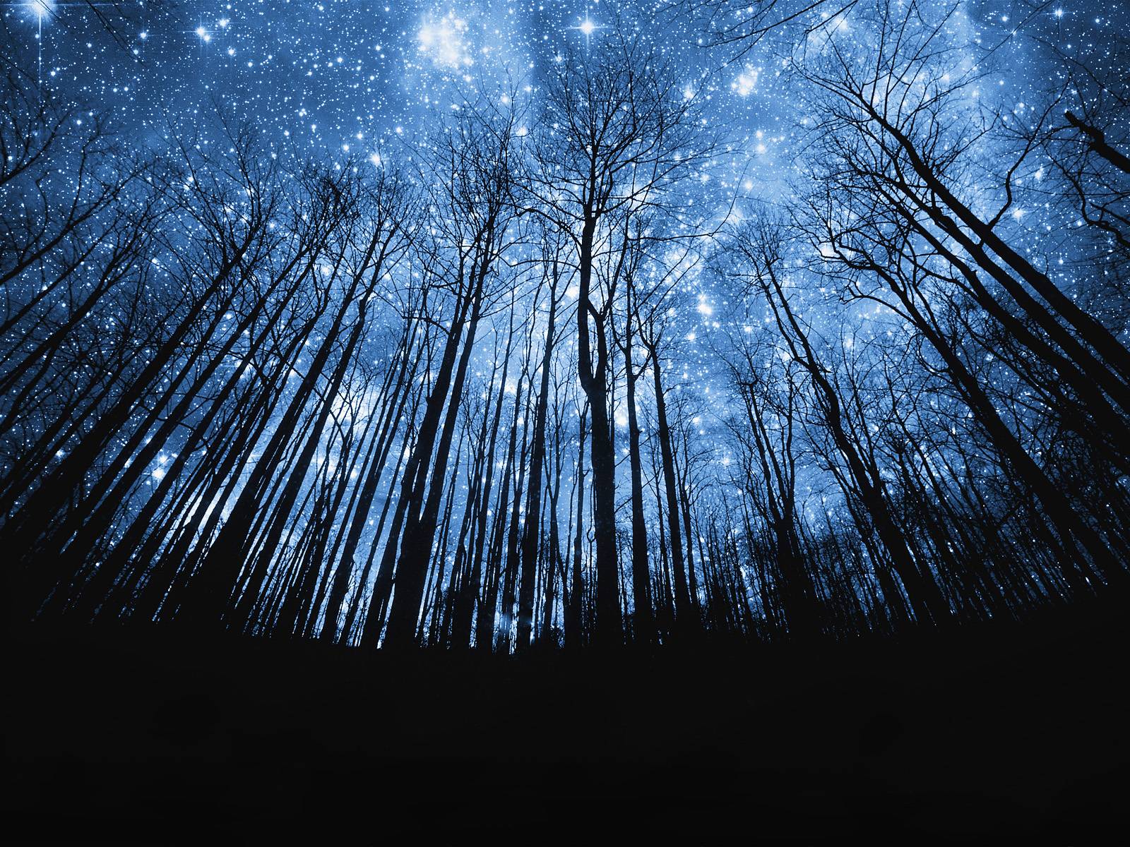 Starry Night HD Wallpaper: Starry Night HD Wallpaper Background