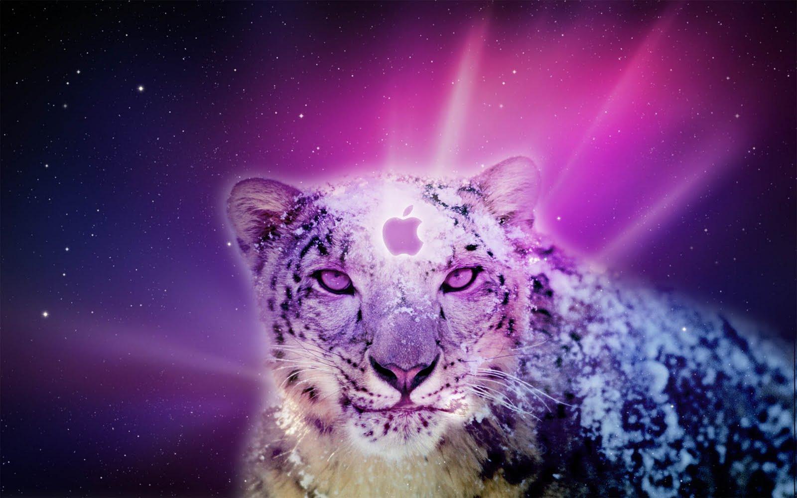 Wallpaper For > Mac Snow Leopard Wallpaper