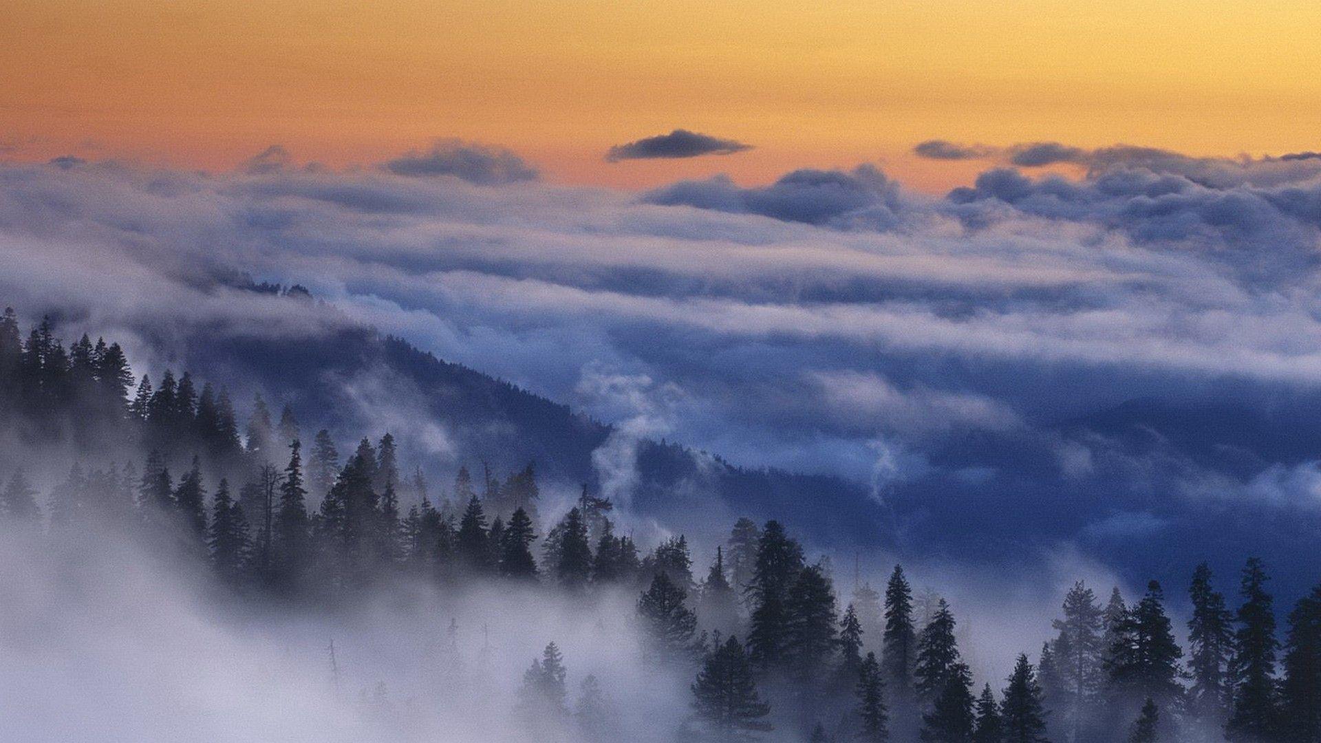 HD Clouds Over Forests At Sunset Wallpapers