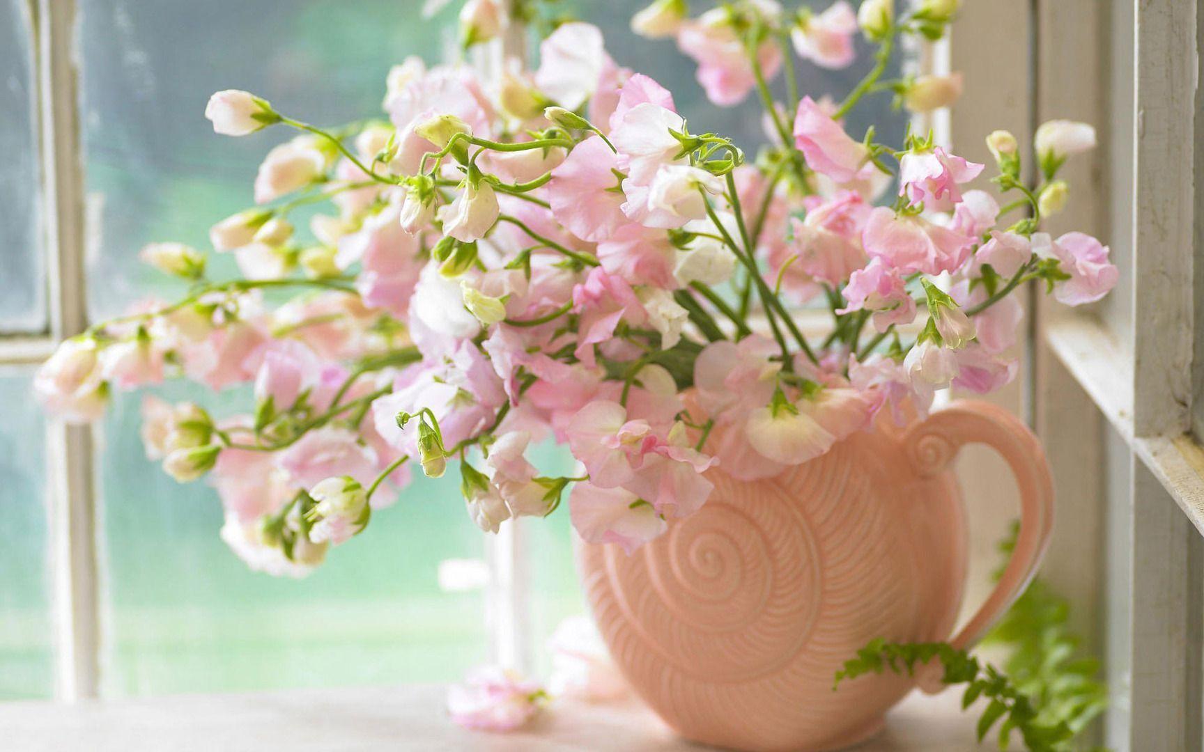 Pink Sweet Peas 1080p Flowers HD Wallpaper for Desktop. HD