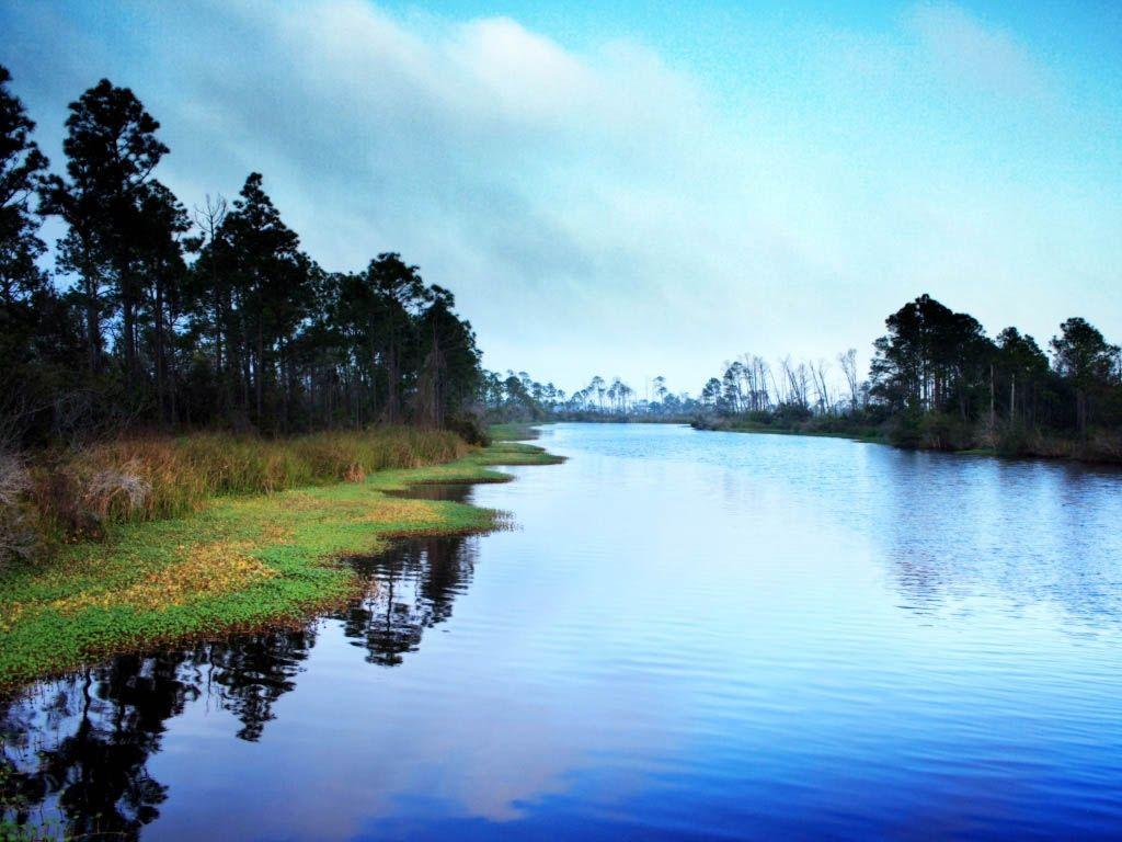 Pond Wallpapers - Wallpaper Cave