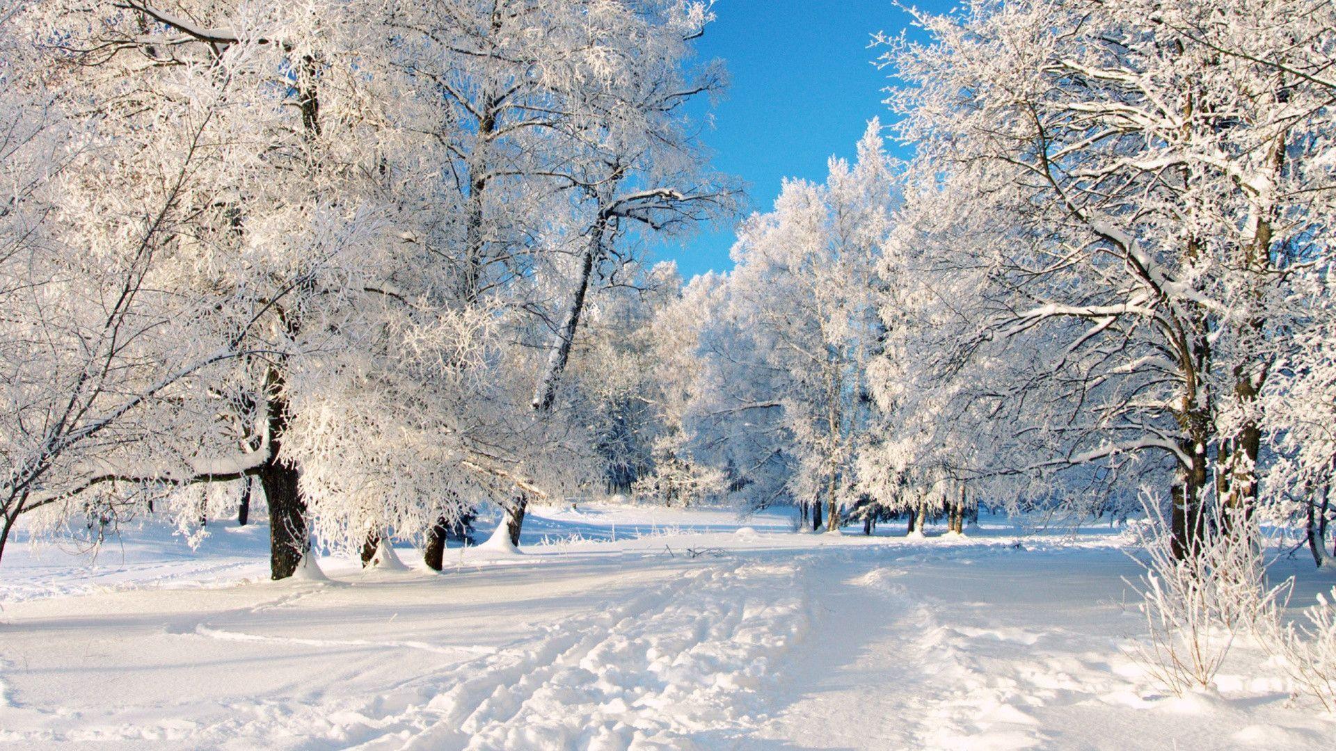 Winter Scenery 1658 HD Wallpaper